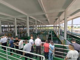 NG电子游戏·(中国区)官方网站